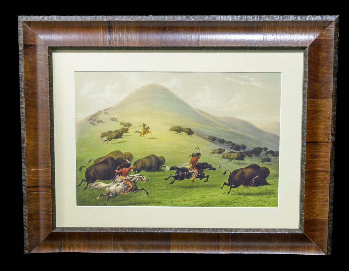 The Buffalo Hunt #1