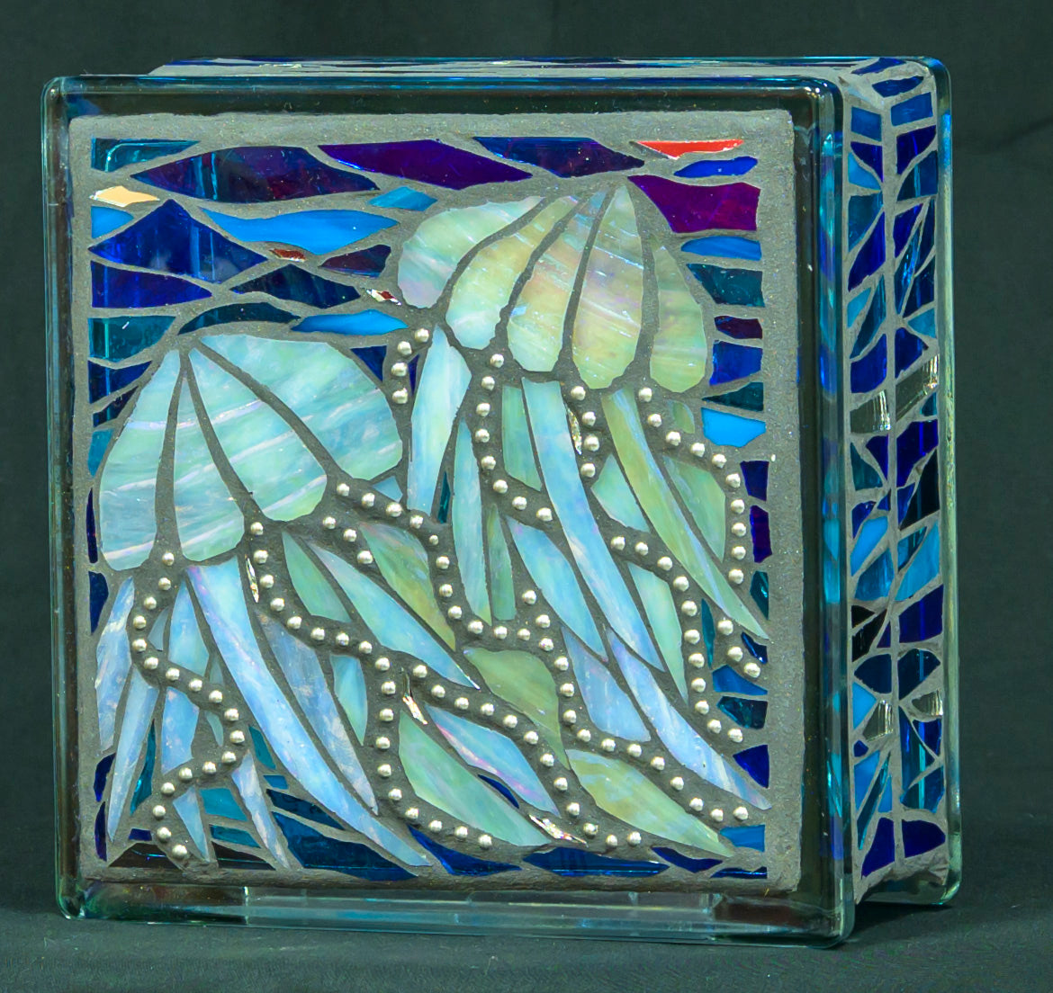 Jellyfish