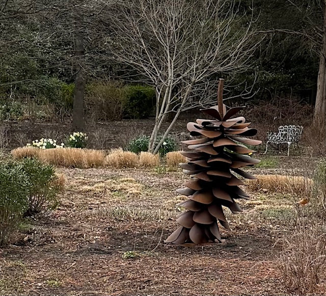 Pine Cone