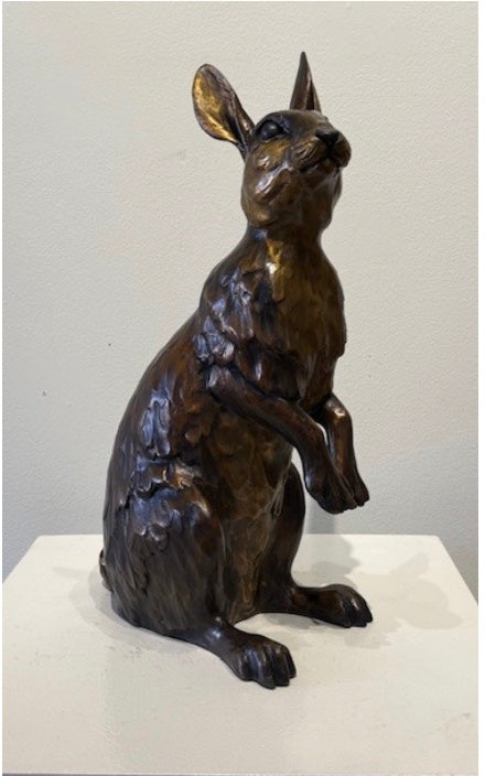 Alert Cottontail