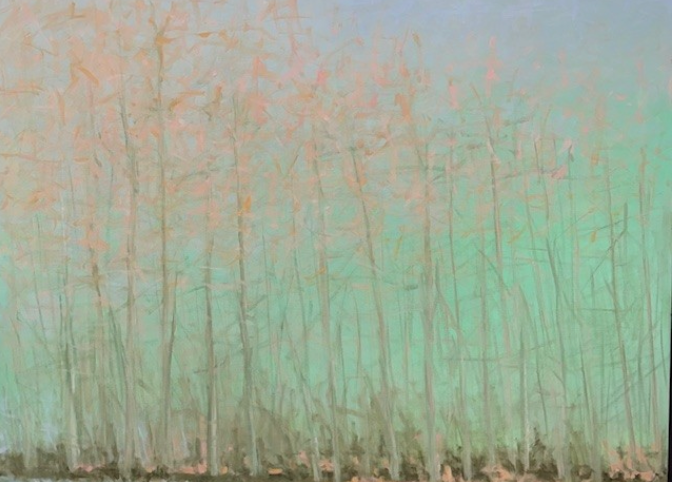 Wetlands