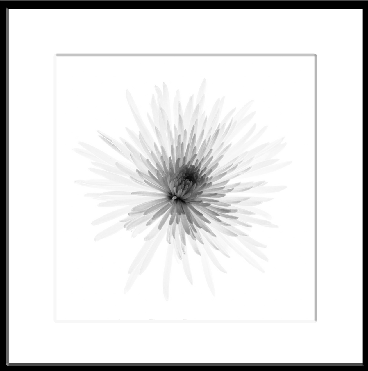 Bursting, 2023