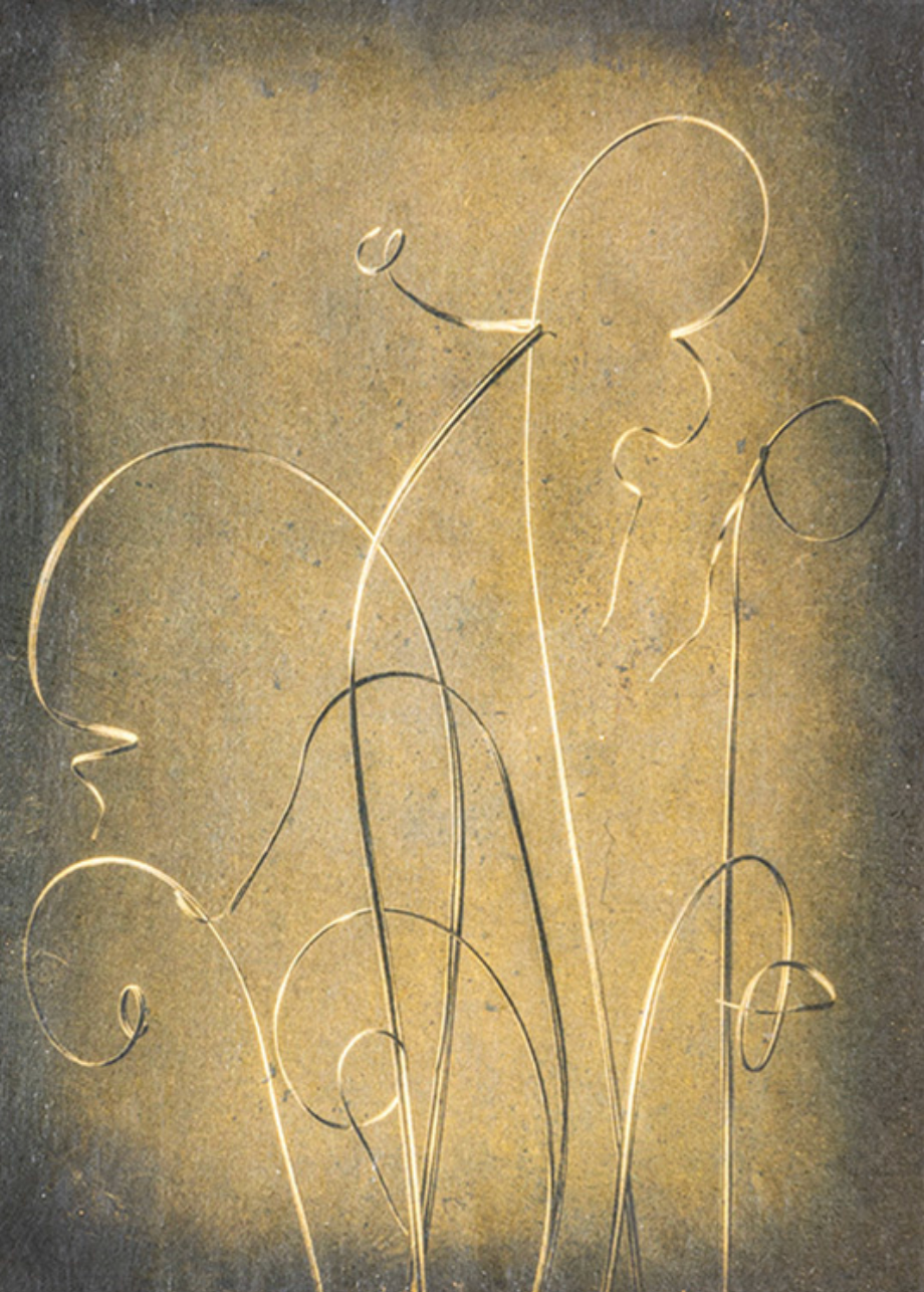 Wintering Grasses, 2025