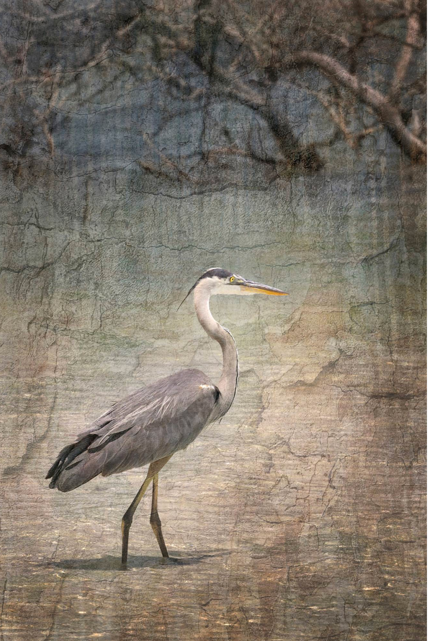 Into the Marsh, 2024