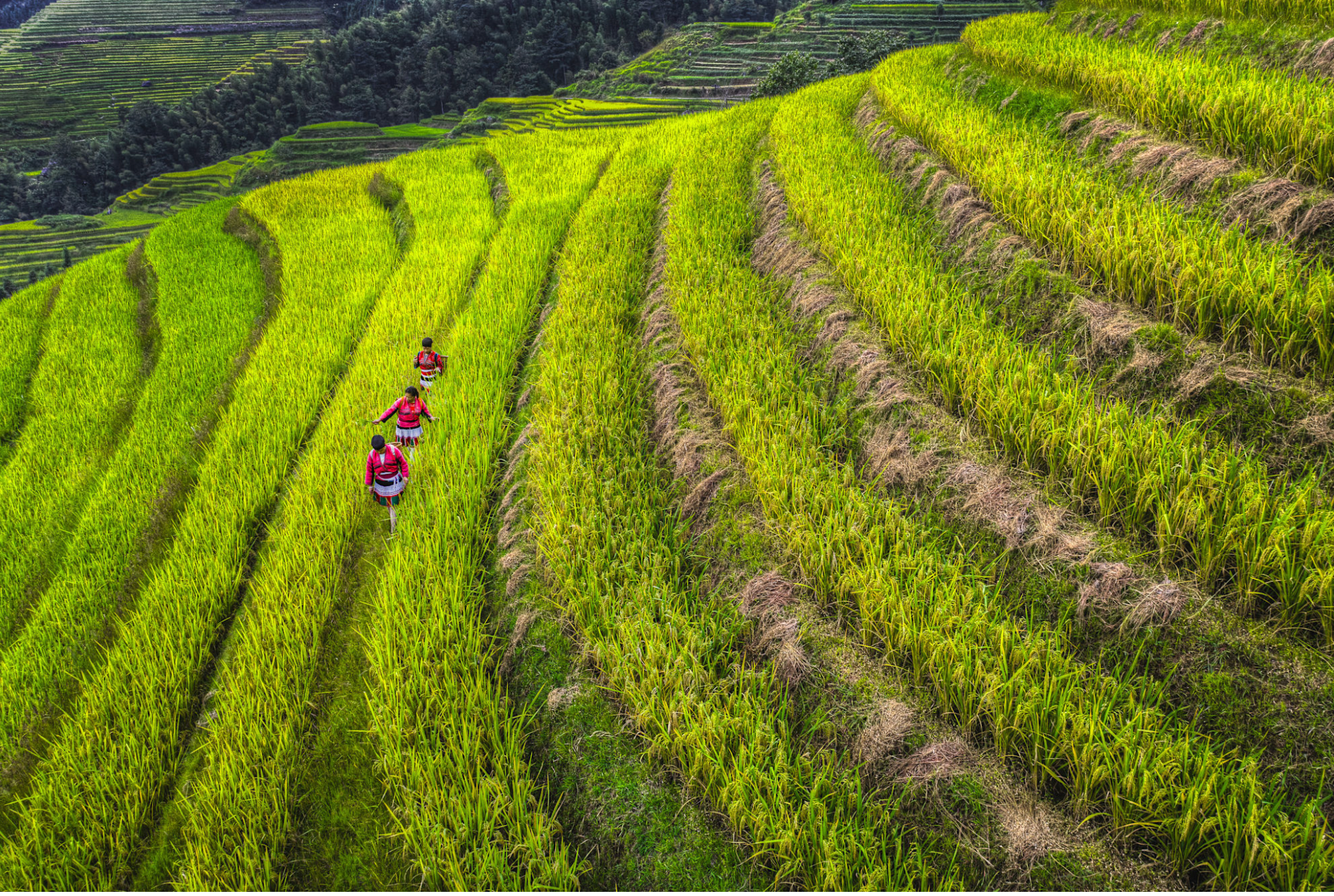 Working the Fields, 2019