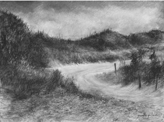 Dune at Pea Island