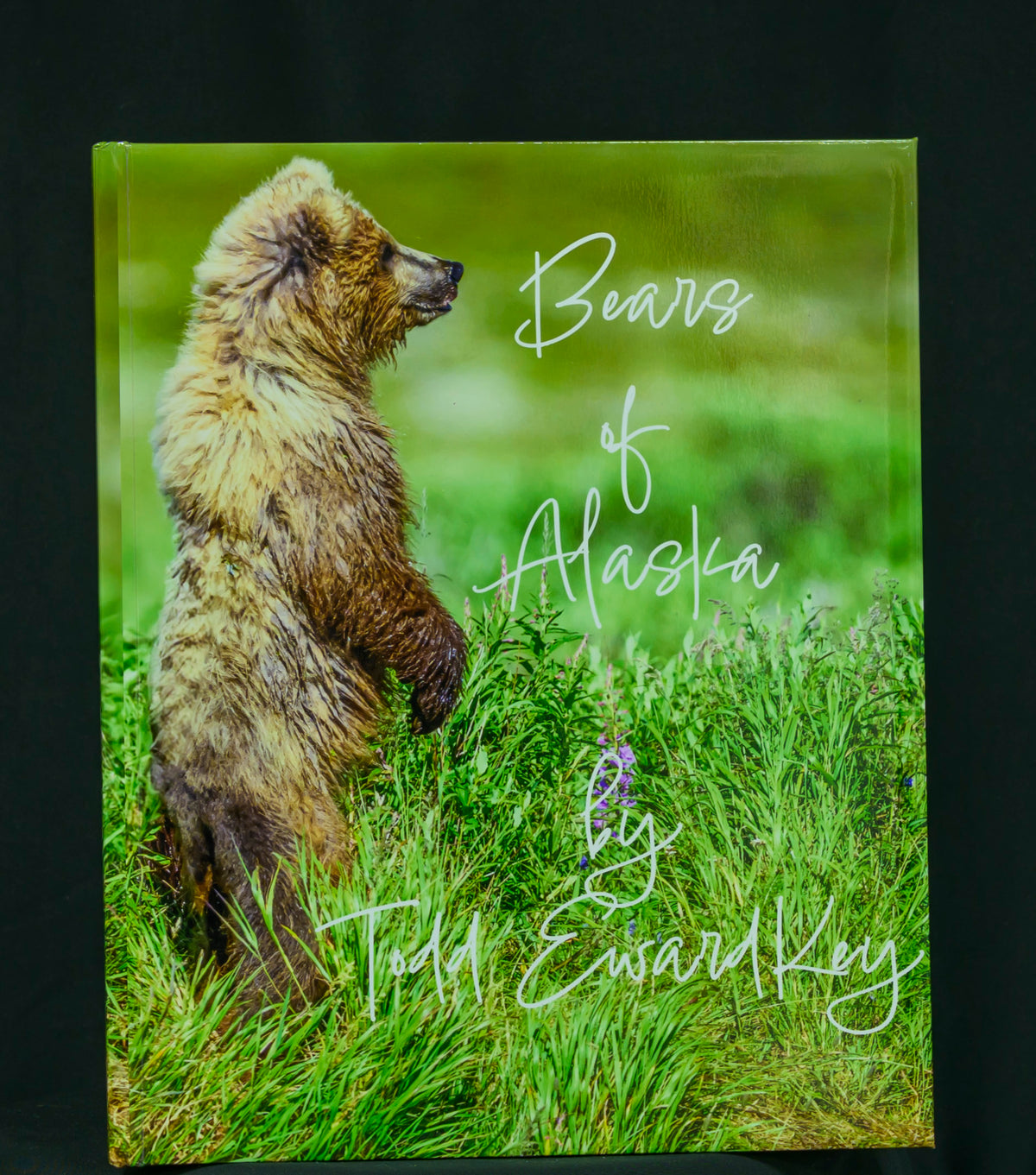 Bears of Alaska