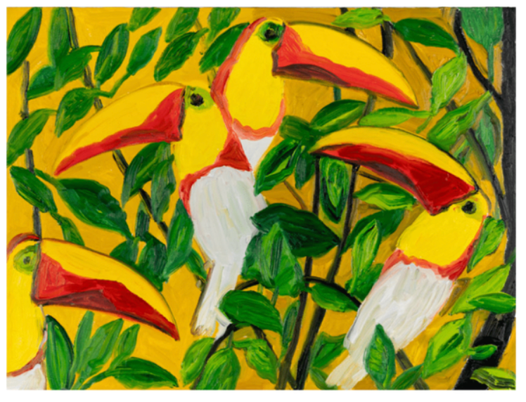 New Toucans Discovery