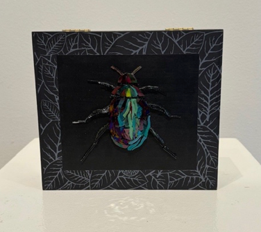 Black Coleoptera