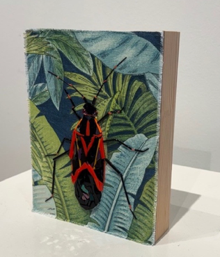 Boxelder Bug (Boisea Trivittata)