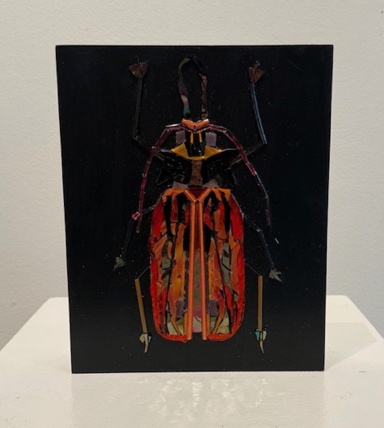 Sabertooth Longhorn Beetle