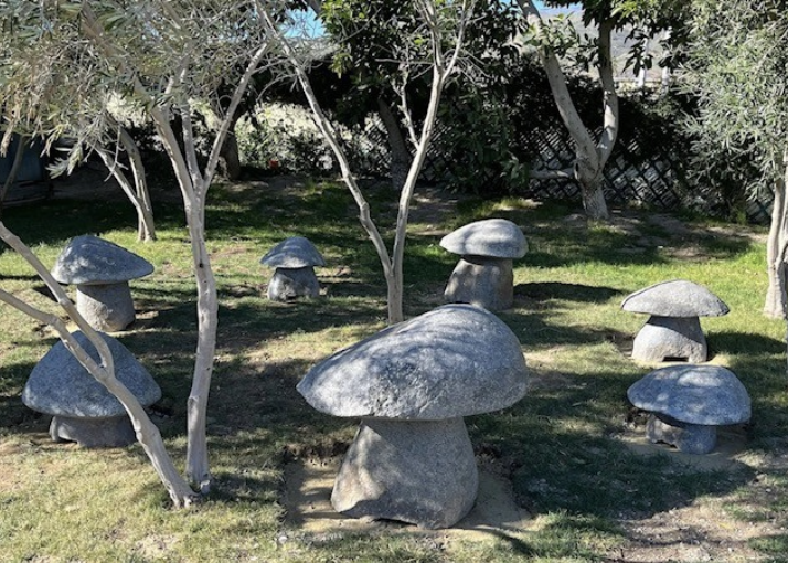 Mushrooms