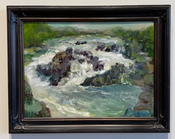 View of Great Falls