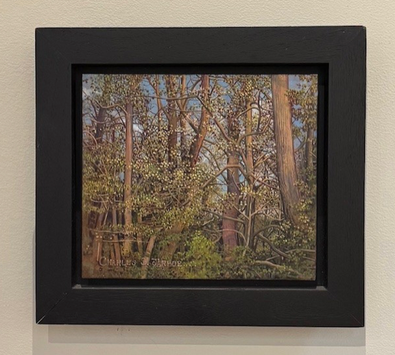 Spring Stand of Trees