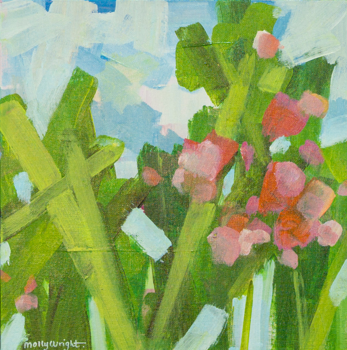 Spring Blooms